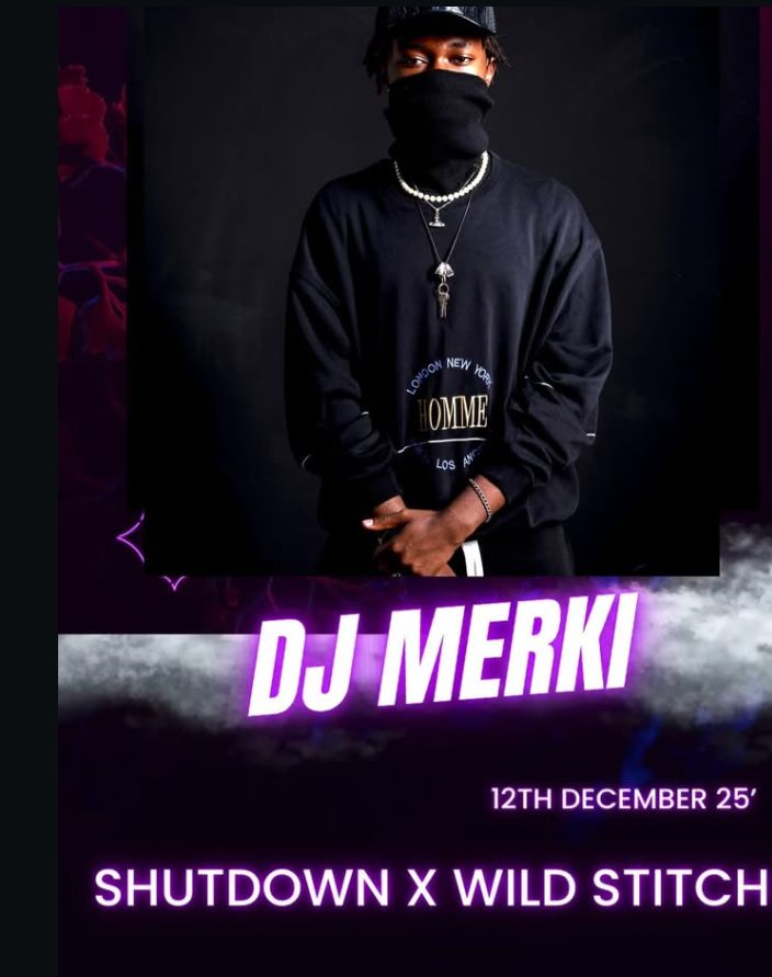 SHUTDOWNXWILDSTITCH image 2